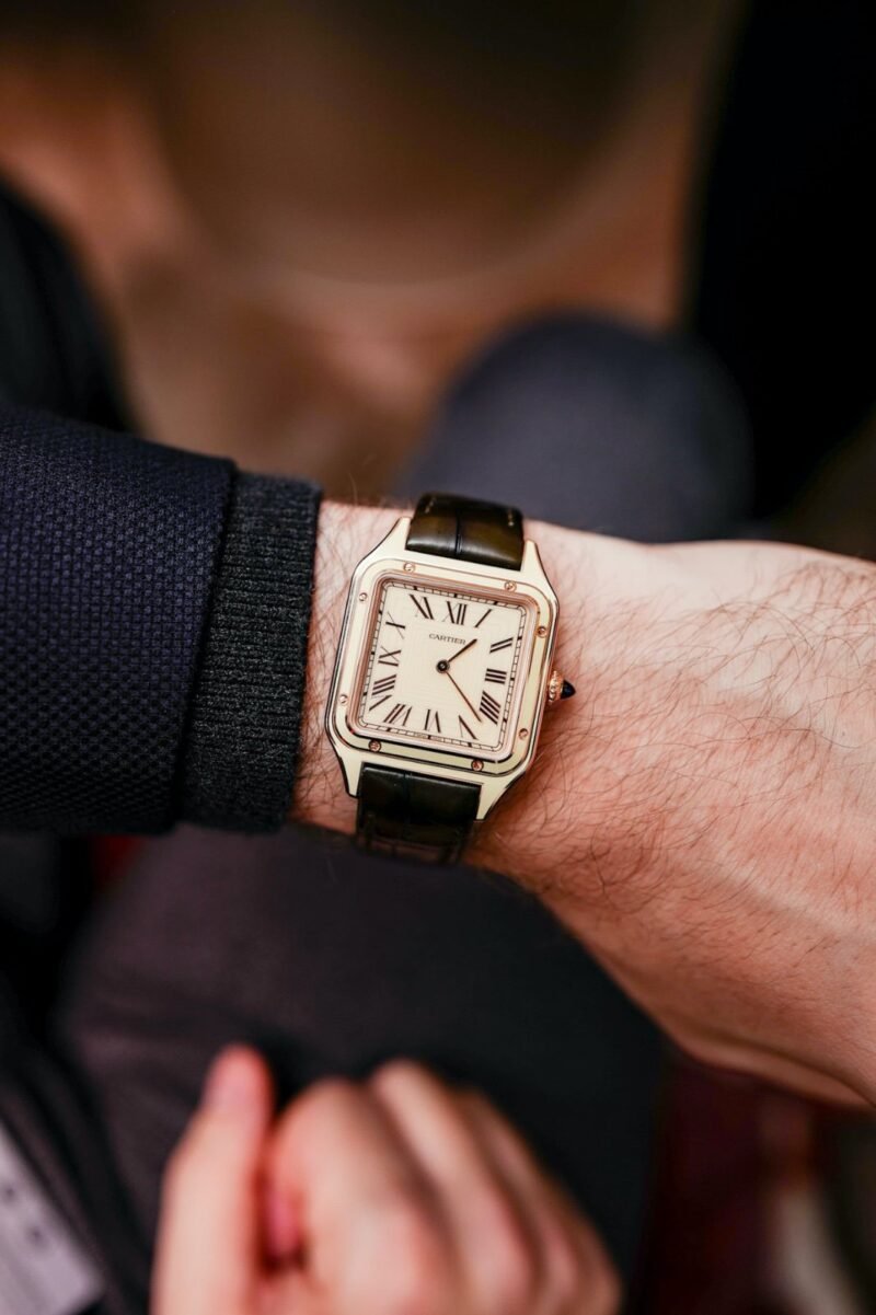 1000027024 https://watchstoreindia.com/Shop/cartier-santos-dumont-laquwr-premium/