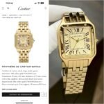 CARTIER PANTHERE DE 7AA PREMIUM GOLDEN - Image 3