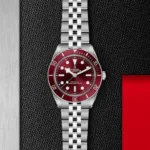 TUDOR MASTER BLACK BAY RIDGED DIAL AUTOMATIC - Image 2