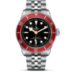 TUDOR MASTER BLACK BAY RIDGED DIAL AUTOMATIC - Image 3