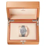 OMEGA SEAMASTER DIVER 7AAA PREMIUM AUTOMATIC - Image 3