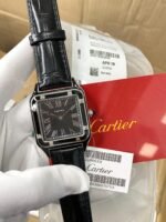 CARTIER SANTOS UNISEX DUMONT LAQUER WSSA0046 7AAA PREMIUM - Image 8