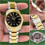 Omega Seamaster Silver Golden