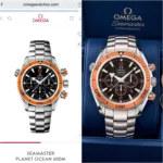 Omega Seamaster Planet Ocean 600M - Image 2