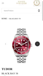 Tudor Black Bay Red Dial - Image 4