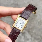 Cartier Tank Brown White Dial - Image 4