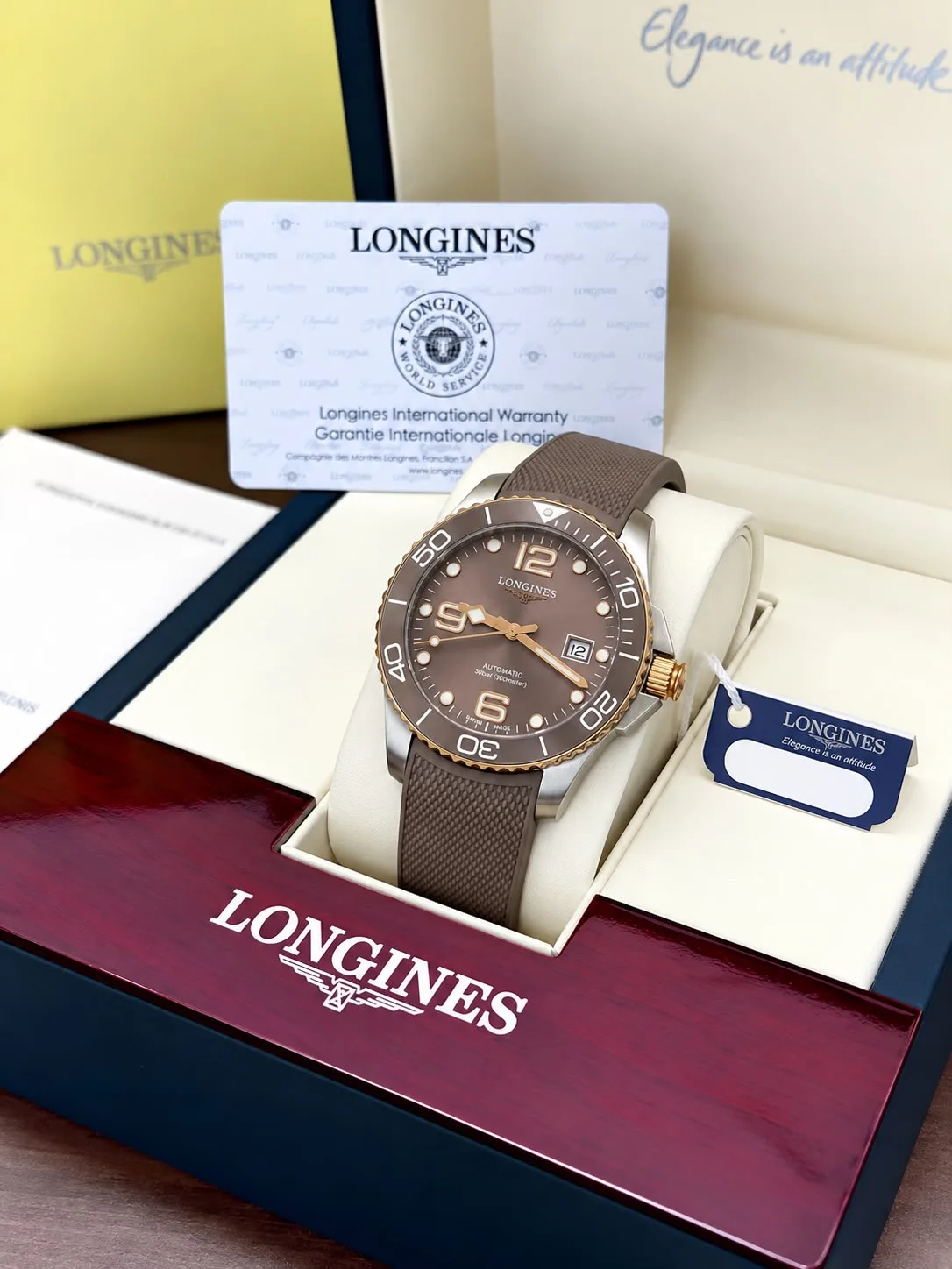 WhatsApp Image 2026-10-23 at 1.08.21 AM Longines HydroConquest Automatic Brown - Image 1